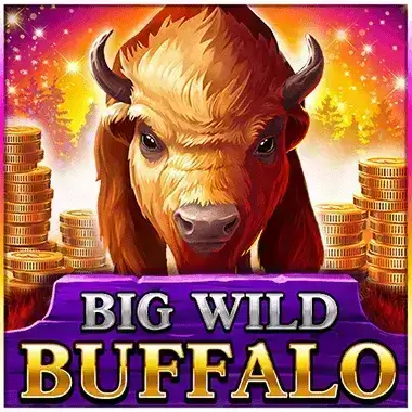 Play Big Wild Buffalo Mr Rex casino